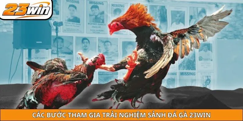 Các bước tham gia trải nghiệm sảnh đá gà 23WIN