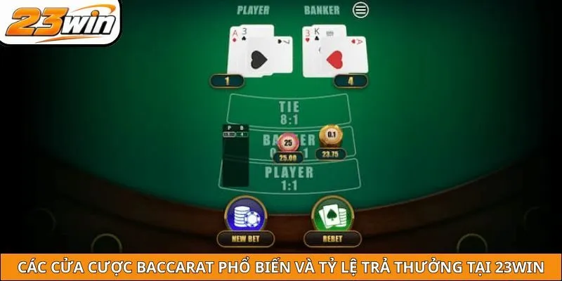 Các cửa cược Baccarat phổ biến và tỷ lệ trả thưởng tại 23WIN