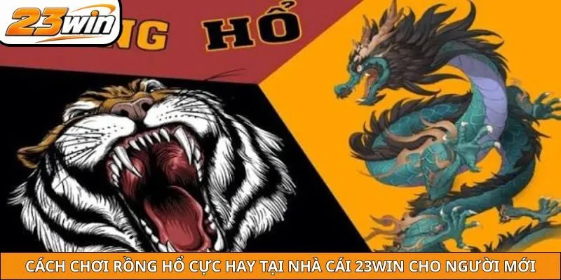 Cách Chơi Rồng Hổ Cực Hay Tại Nhà Cái 23win Cho Người Mới