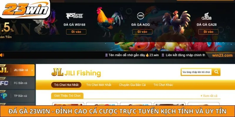 Đá Gà 23win - Đỉnh Cao Cá Cược Trực Tuyến Kịch Tính Và Uy Tín