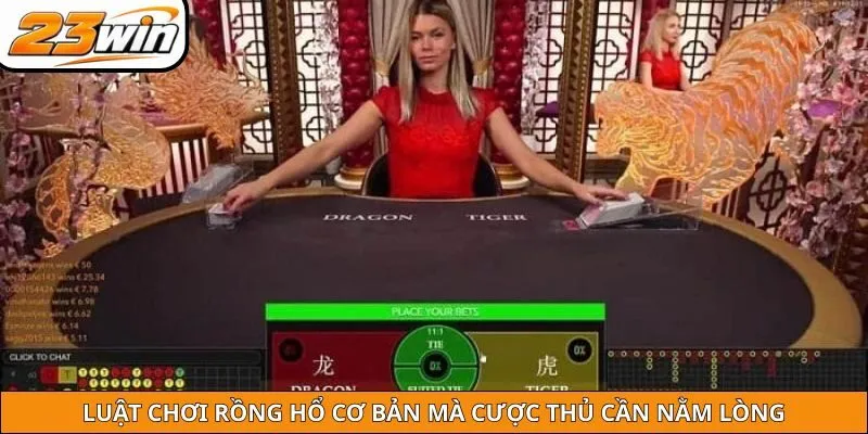 Luật chơi rồng hổ cơ bản mà cược thủ cần nằm lòng