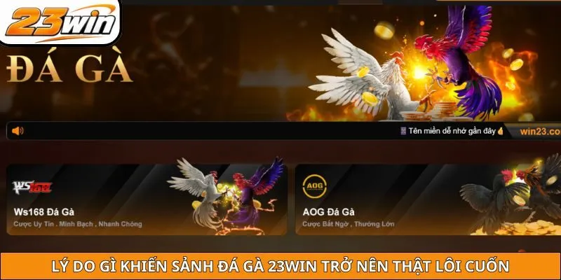 Lý do gì khiến sảnh đá gà 23WIN trở nên thật lôi cuốn